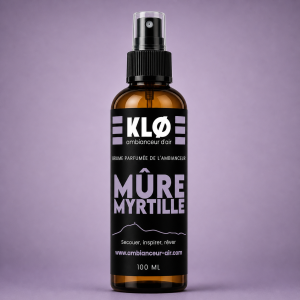 Spray Brume Végétale - Mûre Myrtille