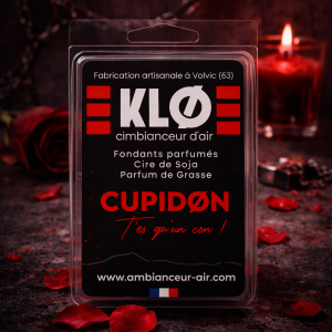 Fondants Parfumés par 6 - Cupidon T’es Qu’un Con ❤️