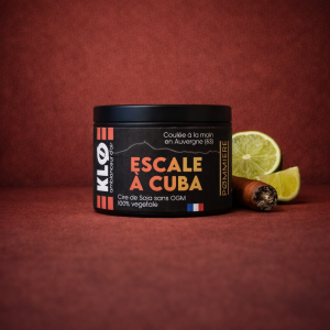 Bougie Escale à Cuba