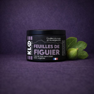 Bougie Feuilles de Figuier